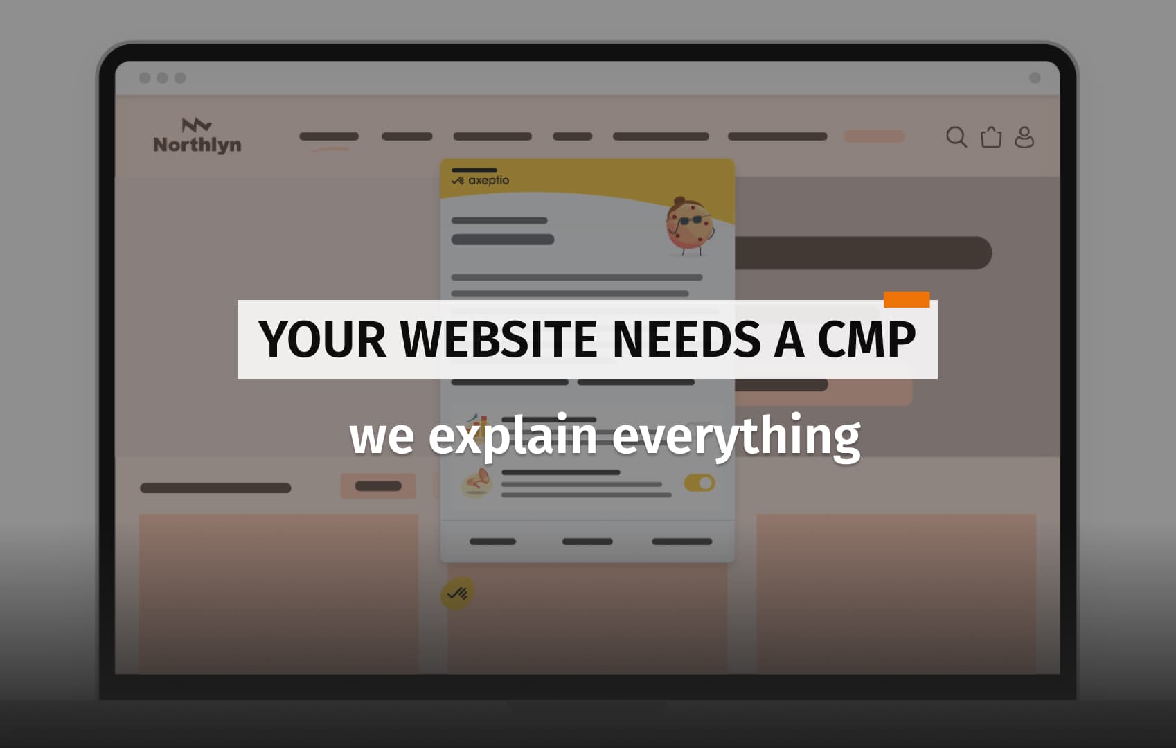 Cover for the article about using a CMP on your website.