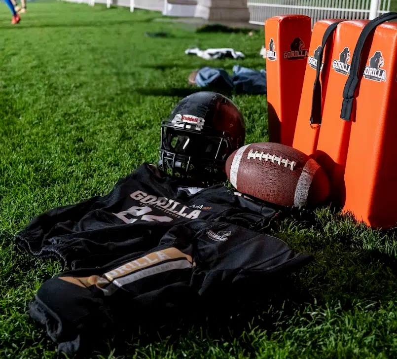 Image des Gorilla de Strasbourg.