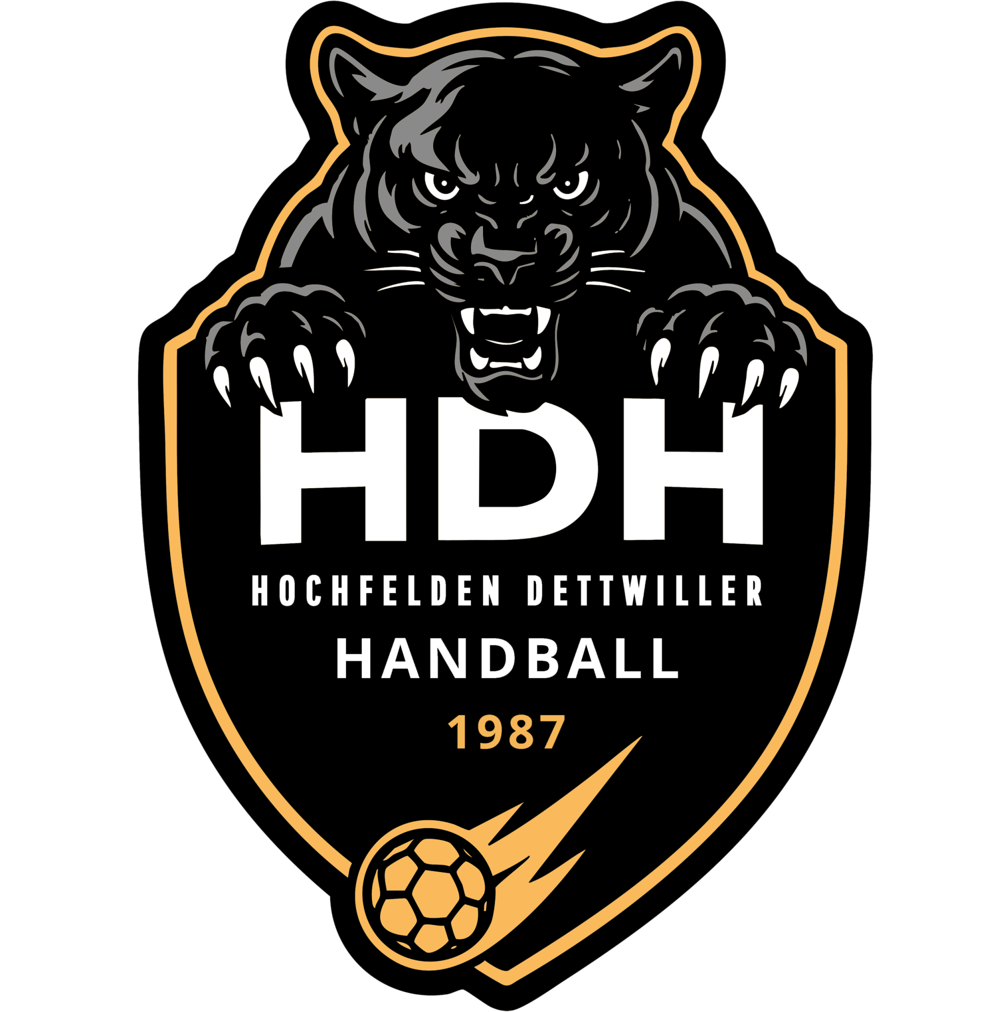 Logo équipe HDH.