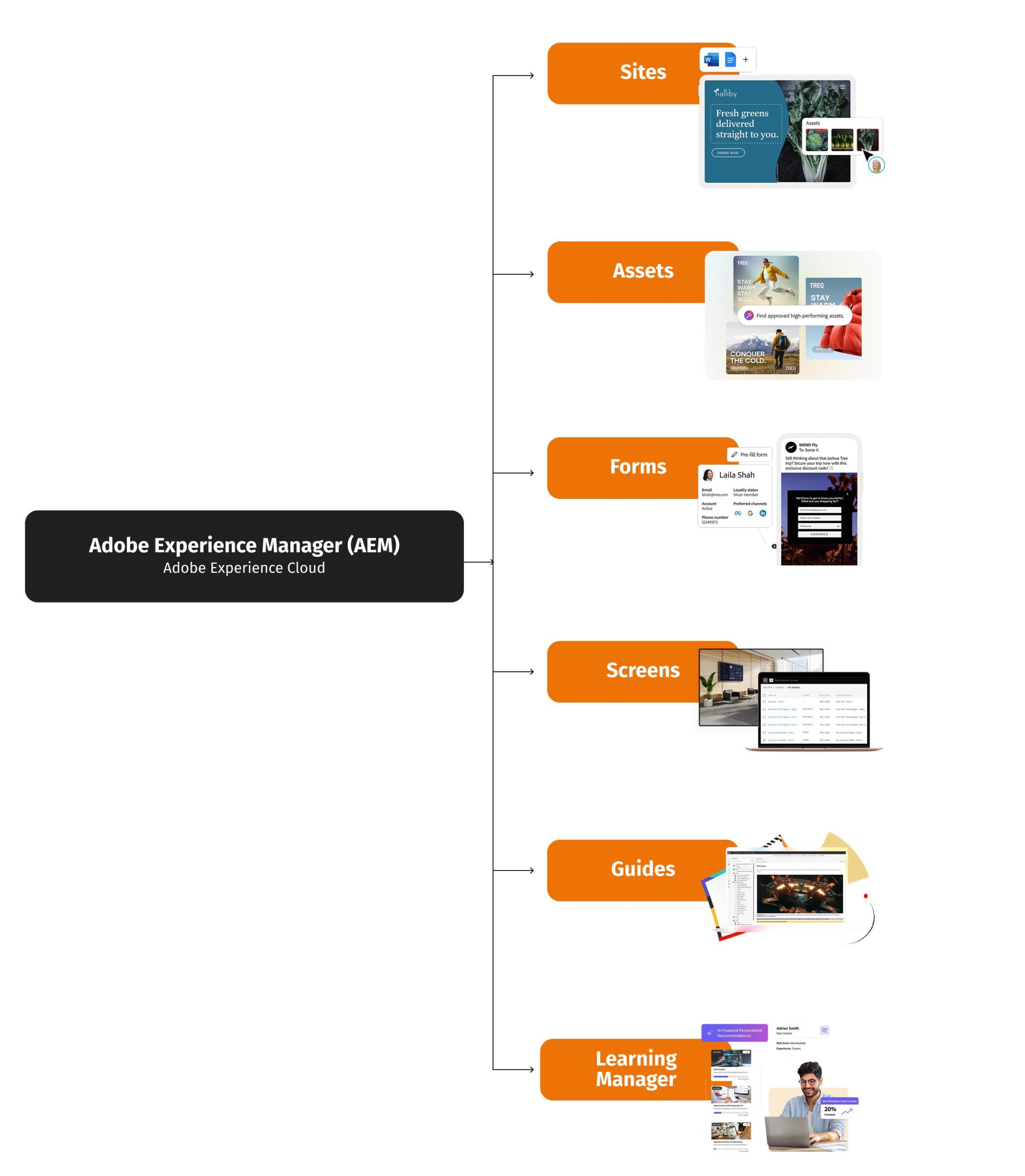 Image des produits AEM.