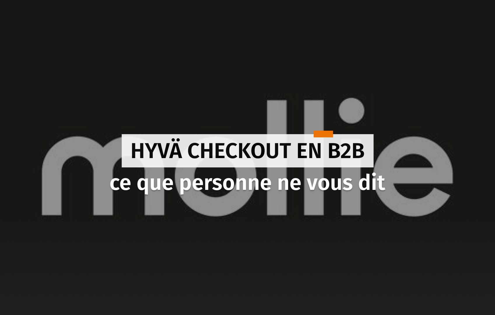 Couverture pour l'article au sujet de Hyvä Checkout