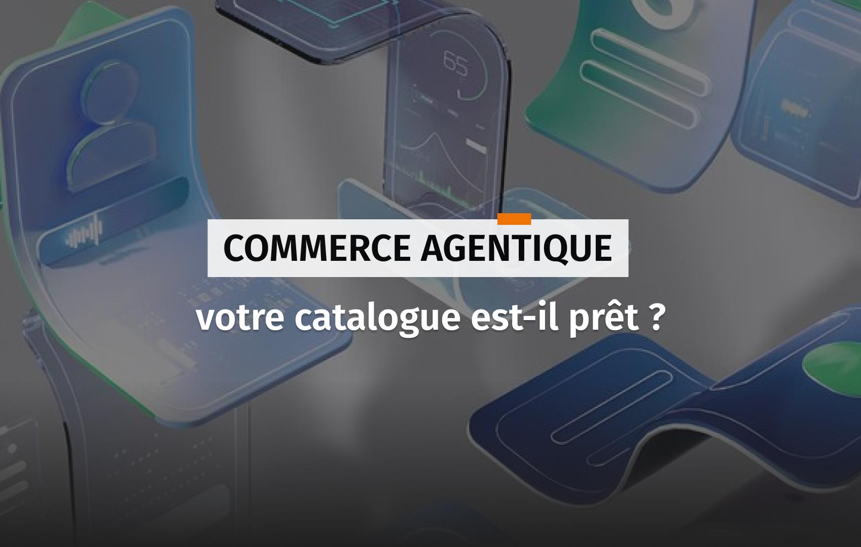 Couverture pour l'article au sujet de la préparation de votre catalogue pour le commerce agentique.