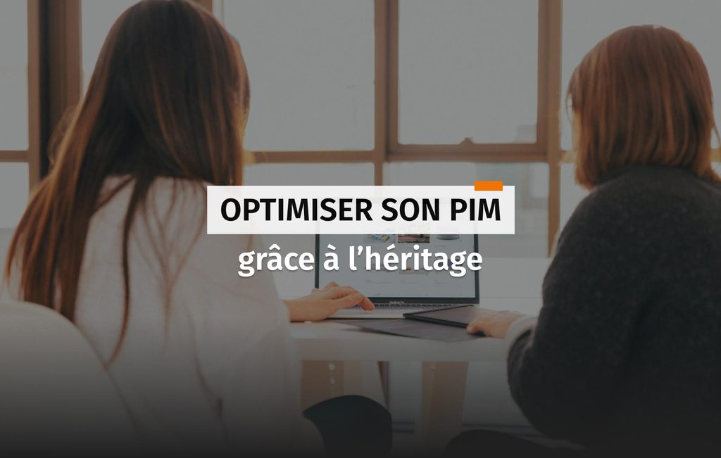 Image de couverture pour l'article Optimiser son PIM grâce à l'héritage pour plus de cohérence, plus de productivité. 